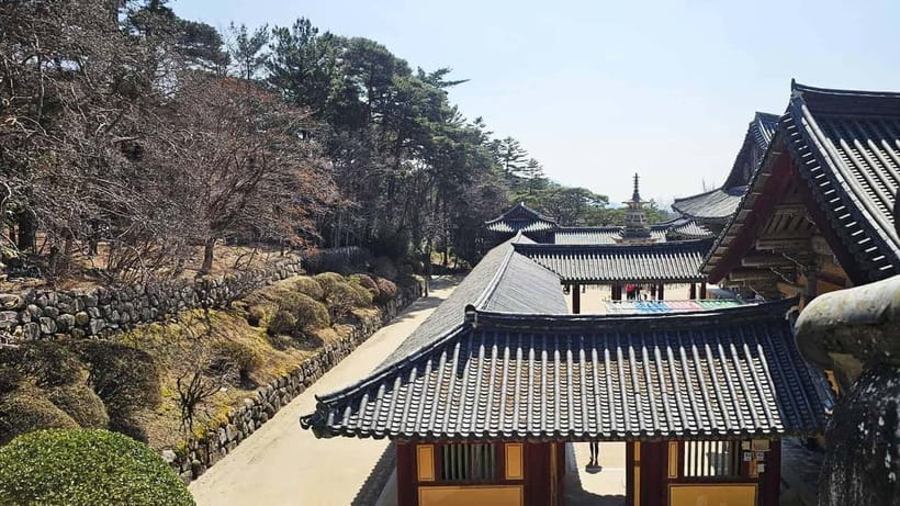 Gyeongju: Private Car Charter Taxi Tour - The 5-Hour City Course: A Smart First Gyeongju Day
