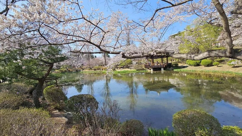 Gyeongju: Private Car Charter Taxi Tour - Language Support: What You’ll Get and How to Make It Work