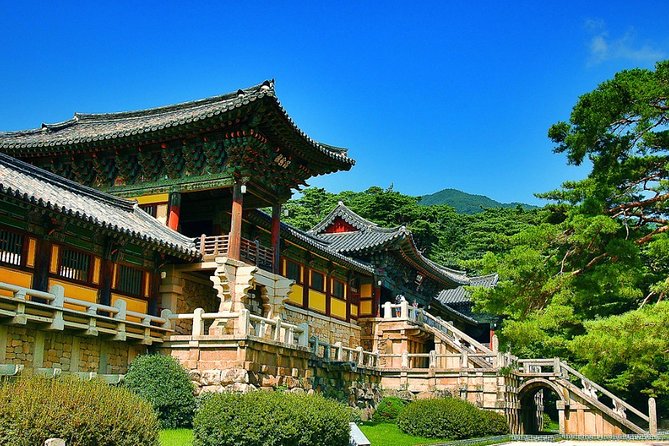 Gyeongju Private Tour with hidden gem by local tour guide - Key Highlights That Make This Tour Practical