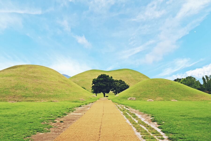 Gyeongju: UNESCO Highlights Tour with Guide and Ticket - Daereungwon Tomb Complex, Cheonmachong, and the Silla royal “why”