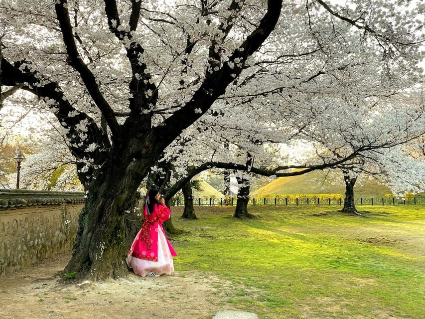 Gyeongju: UNESCO Highlights Tour with Guide and Ticket - Gyochon Traditional Village: the Choi clan story in everyday form