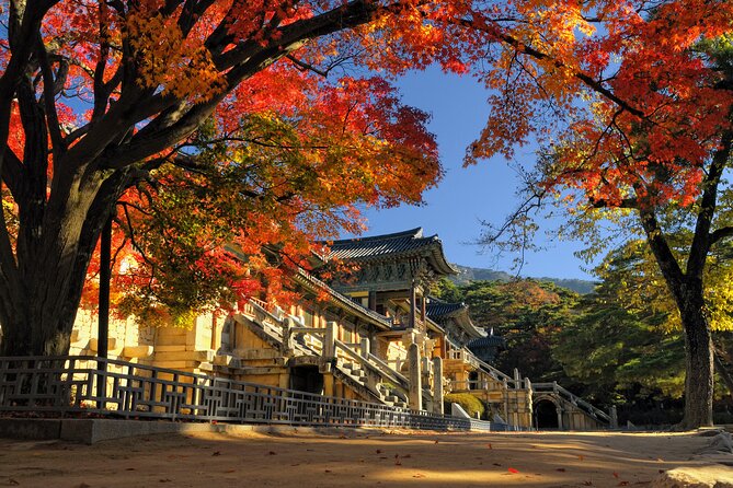 Gyeongju UNESCO sites Private tour with licensed tour guide - Gyochon Traditional Village and Woljeonggyo Bridge: culture after the big hitters