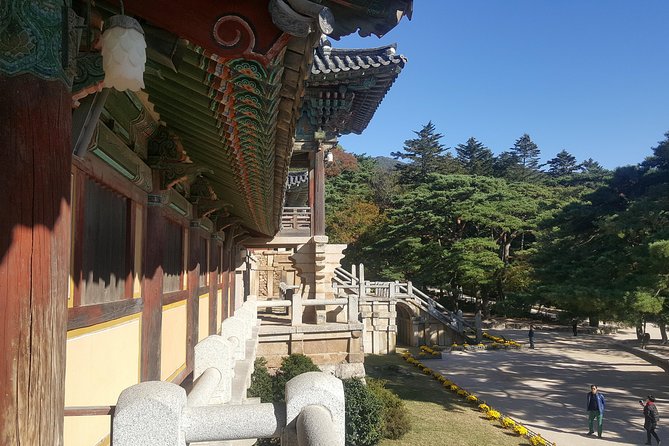 Gyeongju UNESCO Sites Tour by KTX train; The Museum Without walls - Gyeongju National Museum: The Timing Saver That Makes the Outdoors Make Sense