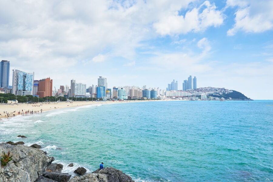 Haedong Yonggungsa Temple, Camellias Island & More - Key highlights to focus on