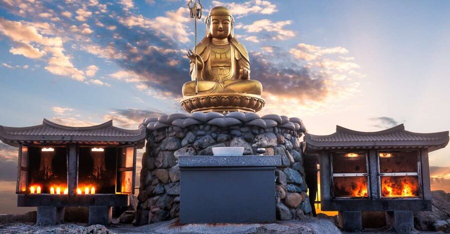 Haedong Yonggungsa Temple, Camellias Island & More - Busan Cinema Center and Centum City: modern Busan in real time