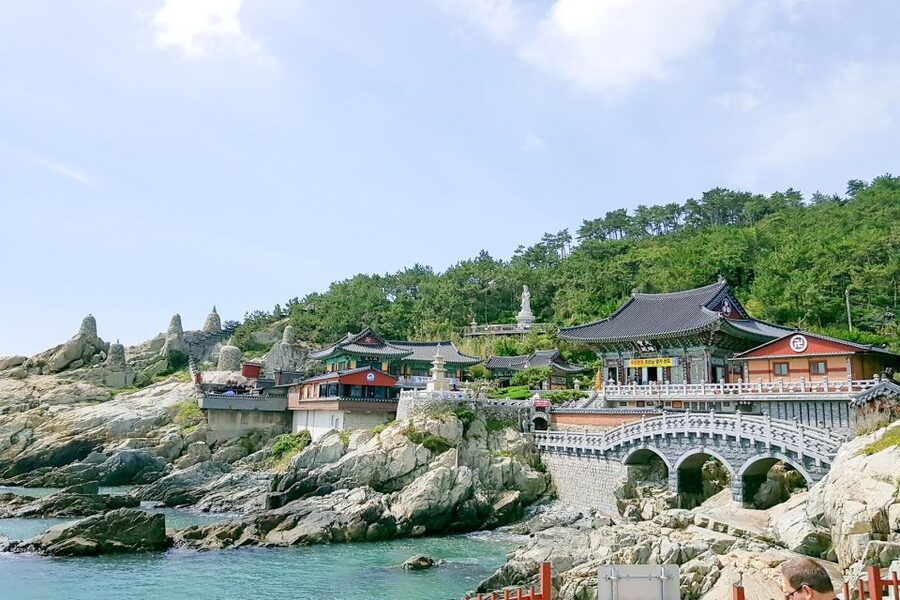 Haedong Yonggungsa Temple, Camellias Island & More - Busan in 8 hours: the smart rhythm behind this route