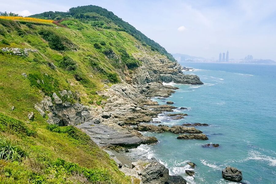 Haedong Yonggungsa Temple, Camellias Island & More - Haedong Yonggungsa Temple: why this coast-side temple hits harder