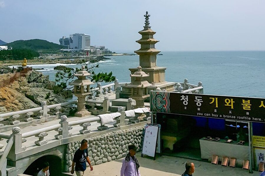 Haedong Yonggungsa Temple, Camellias Island & More - Lunch and local flavor: included, not an afterthought
