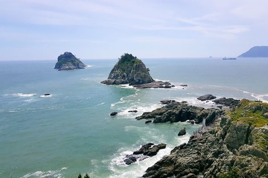 Haedong Yonggungsa Temple, Camellias Island & More - Dalmaji Road first: pine, sea, and cherry-blossom vibes