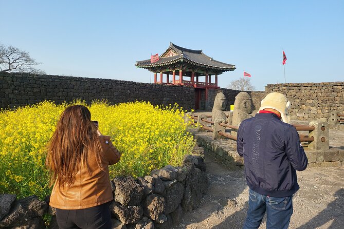 Half or Day Tour For Cruise customers arriving at Gangjeong Port - Jeongbang Waterfall: the sea-meets-water moment you came for