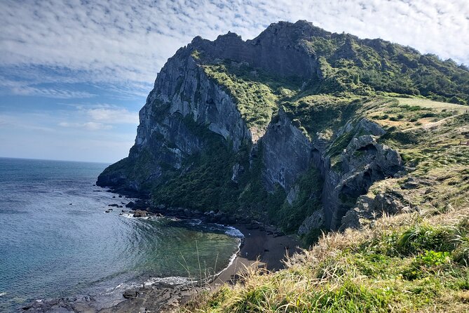 Half or Day Tour For Cruise customers arriving at Jeju City Port - Price and Value: What $135 per Person Includes (and Why It Usually Feels Fair)