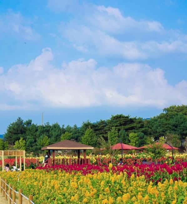 Hantan Canyon & Goseokjeong Flower Garden & Pink Muhly Park - Hantan Canyon on the Hantangang River: What the Walk Feels Like