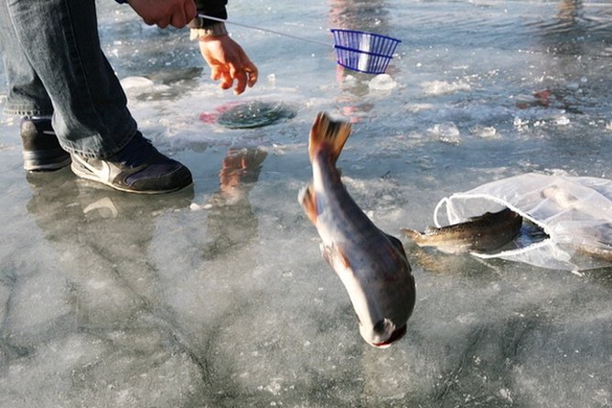 Ice Fishing Tour - Hwacheon Sancheoneo Ice Festival Day Trip from Seoul - Learning ice fishing basics, and why Jun’s teaching style matters
