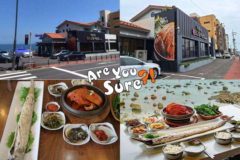 Jeju: BTS Are You Sure?! Filming Locations Private Taxi Tour - Key Points to Know Before You Go
