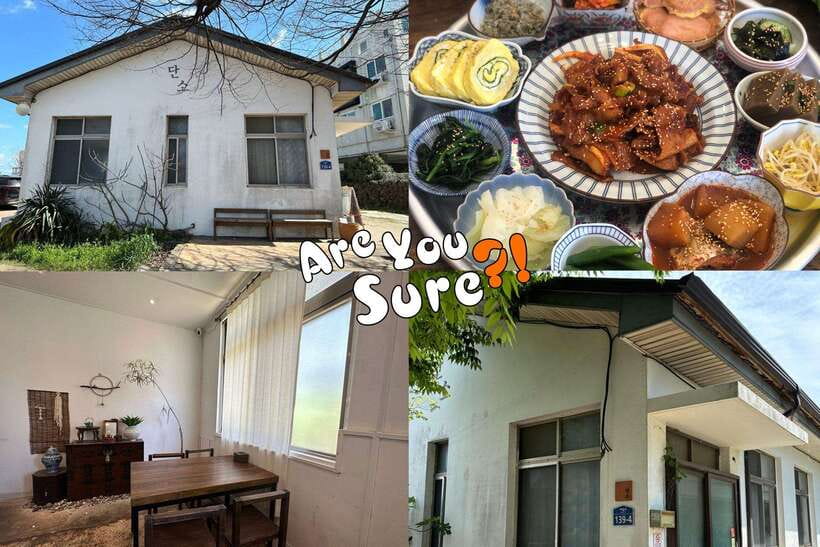 Jeju: BTS Are You Sure?! Filming Locations Private Taxi Tour - Practical Stuff That Can Save Your Day