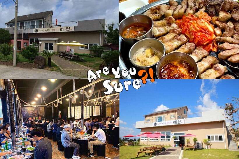 Jeju: BTS Are You Sure?! Filming Locations Private Taxi Tour - Who This Tour Is For, and Who Should Skip It
