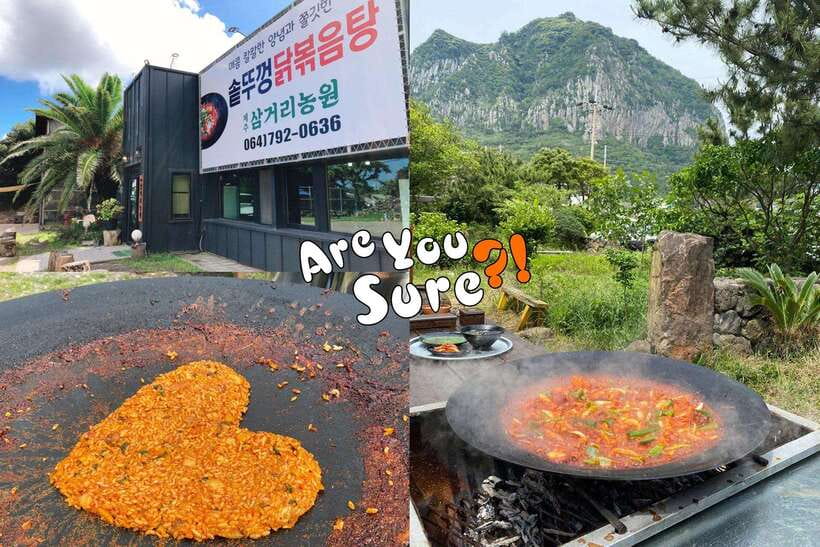 Jeju: BTS Are You Sure?! Filming Locations Private Taxi Tour - The 5-Hour Route: A Tight Hit of Jeju Aewol to Chagwido