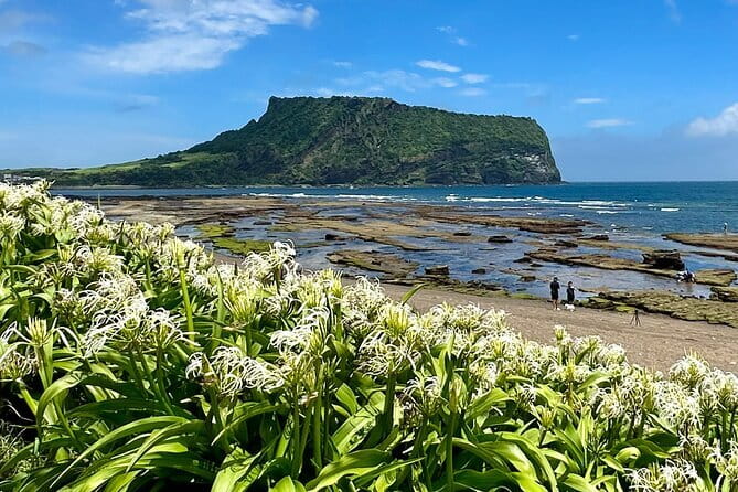 Jeju BTS & K-drama Fans Small Group Tour incl. Snoopy Garden - How to Plan Your Day: Lunch, Weather Gear, and Pace