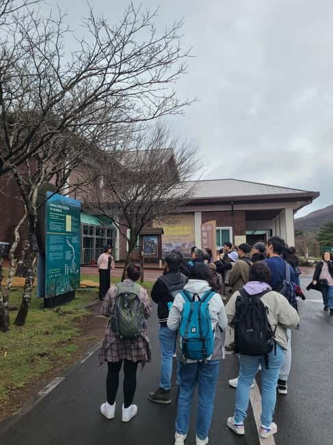 Jeju: Cherry Blossom South & West Day Tour with Hotel Pickup - Why this Jeju cherry blossom day tour works better than a simple flower hunt
