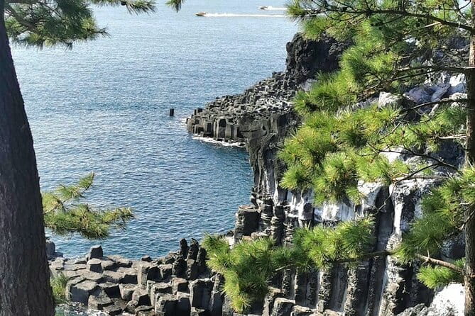 Jeju Cruise Ship gangjung Port PRIVATE tour for all group sizes - A Private South Jeju Day From Gangjeong Naval Base