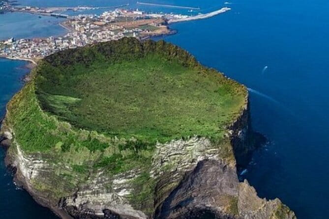 Jeju Cruise Ship gangjung Port PRIVATE tour for all group sizes - Stop 5: O’sulloc Tea Museum, Green Fields, and Innisfree Cafe Time