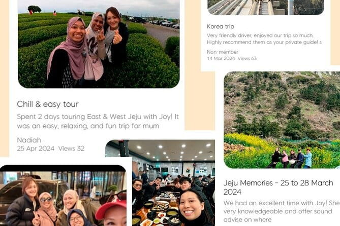 Jeju Customize Private VAN Tour of East or West or South (~8pax) - Price and logistics: when the math makes sense