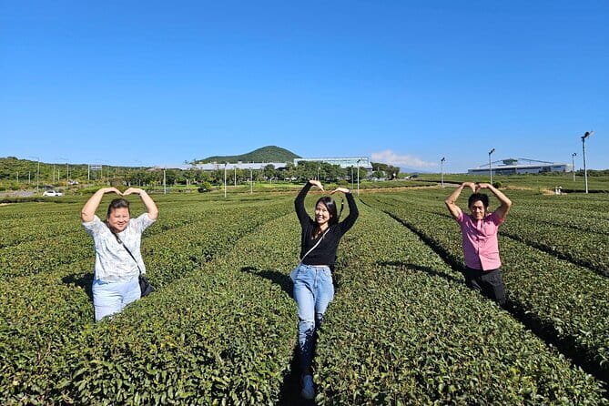 Jeju Customize Private VAN Tour of East or West or South (~8pax) - Pickup, group size, and communication with your driver