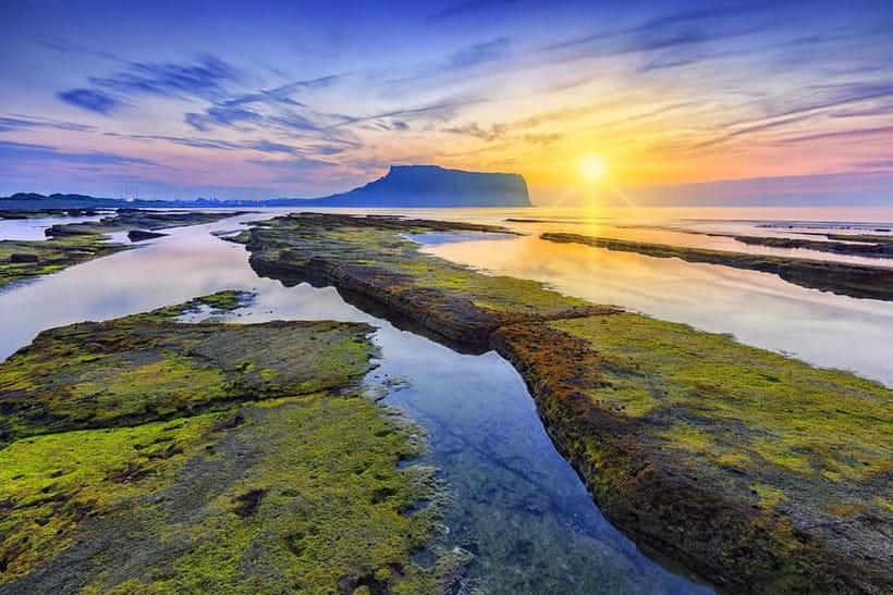 Jeju: Customized Private Vehicle Day Tour - Private Vehicle, Real Control Over Your Jeju Day