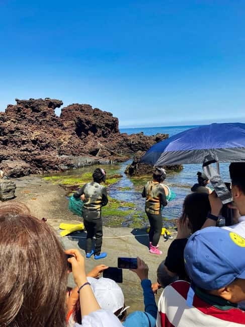 Jeju: Customized Shore Excursions For Up To 7 People - A private Jeju shore excursion that starts and ends at your port