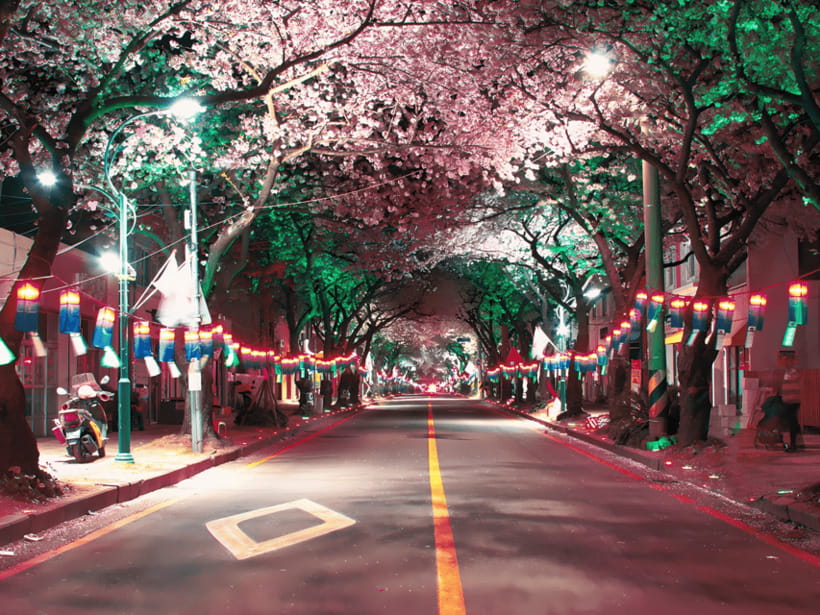Jeju East: Cherry Blossom Early Bird Tour with Hotel Pickup - Micheongul Cave: step into the lava-tube world