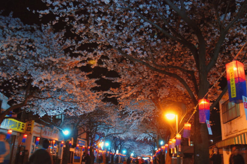 Jeju East: Cherry Blossom Early Bird Tour with Hotel Pickup - Ilchul Land: themed gardens and sculptural photo pauses