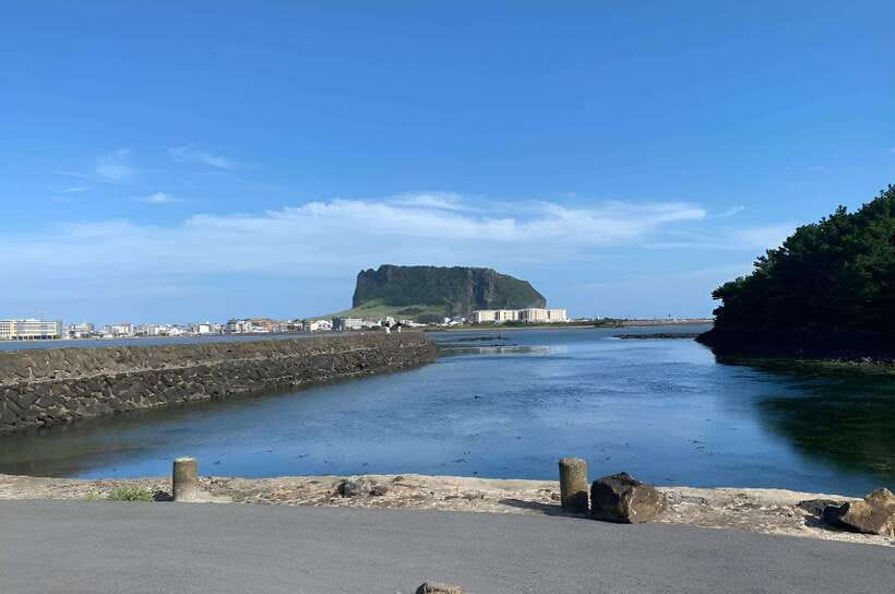 Jeju East: K-Drama Filming Spots Tour with Hotel Pickup - Secret Forest (Andol-oreum) and the kind of shade that makes photos easier