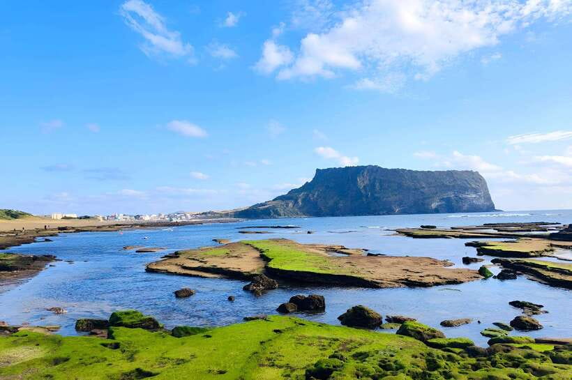 Jeju East: K-Drama Filming Spots Tour with Hotel Pickup - Hotel pickup, van time, and how the day really flows