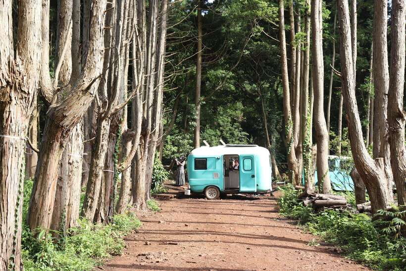Jeju: East of Jeju Island Bus Tour from Seogwipo City - Transport and group size: easier than renting a car, with less stress