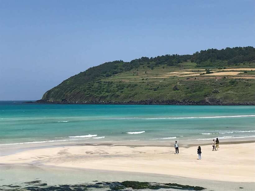 Jeju: East of Jeju Island Bus Tour from Seogwipo City - The real value of $88: what you are paying for