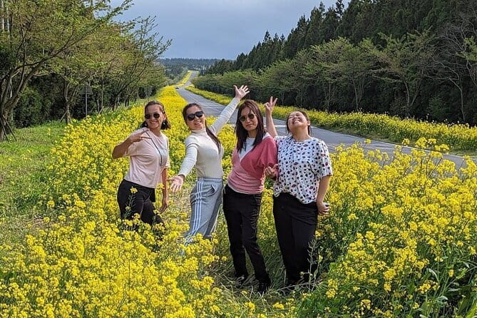 Jeju Eastern Cultural Exploration Day Tour - Seongeup Folk Village: Traditional Houses and Cultural Experiences