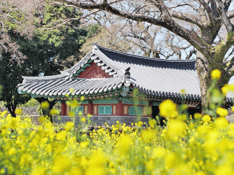 Jeju: Eastern Jeju UNESCO Spots Day Tour - Seongeup Folk Village and Dongmun Evening Free Time