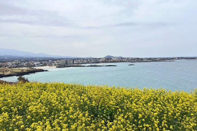 Jeju Eastern Must visit Unesco Bus Tour - Seongsan Ilchulbong UNESCO Tuff Cone: How to Get More Than a Quick View