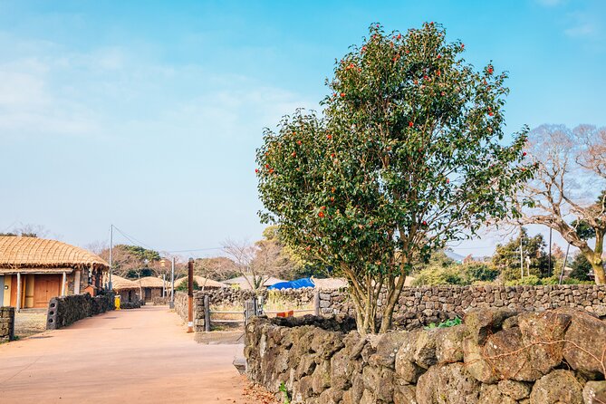 Jeju Eastern Must visit Unesco Bus Tour - Ilchul Land and the Micheon Cave System: Plants Above, Geology Below