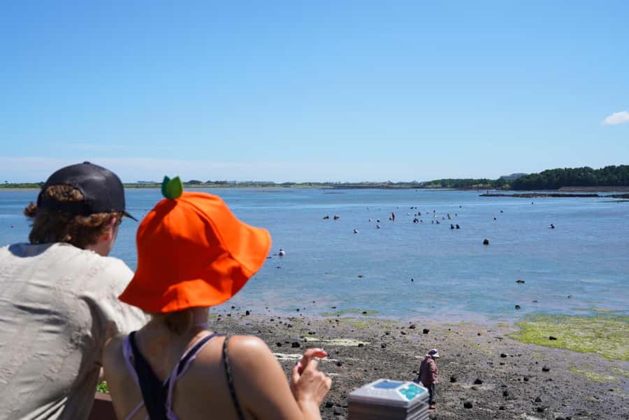 Jeju: Eastern UNESCO Join in Tour (Seongsan, Haenyeo) - Eastern Jeju UNESCO, done the easy way