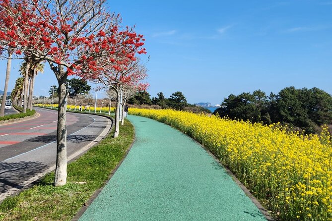 Jeju English Private Taxi Tour(1day, 2days, 3days & 1 to 12pax) - Jeju nature and heritage stops: what your day can include