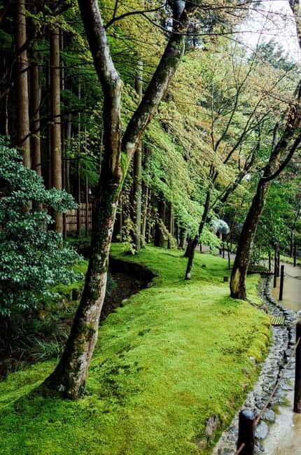 Jeju Highlights Day Trip (East Course) - Seongeup Folk Village: Traditional Jeju Life, Not Just Pretty Buildings