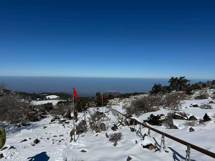 Jeju: Hiking Mt. Hallasan, South Korea's Highest Mountain - Halla Yeongsil Service Area: the scenic middle with real payoff