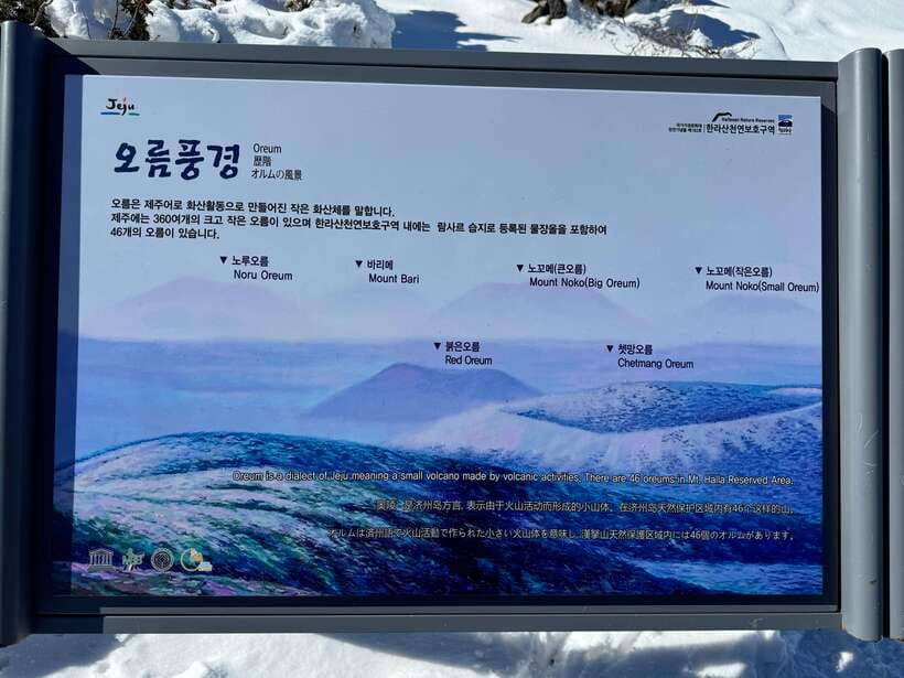 Jeju: Hiking Mt. Hallasan, South Korea's Highest Mountain - Yeongsil course descent: finishing in Seogwipo