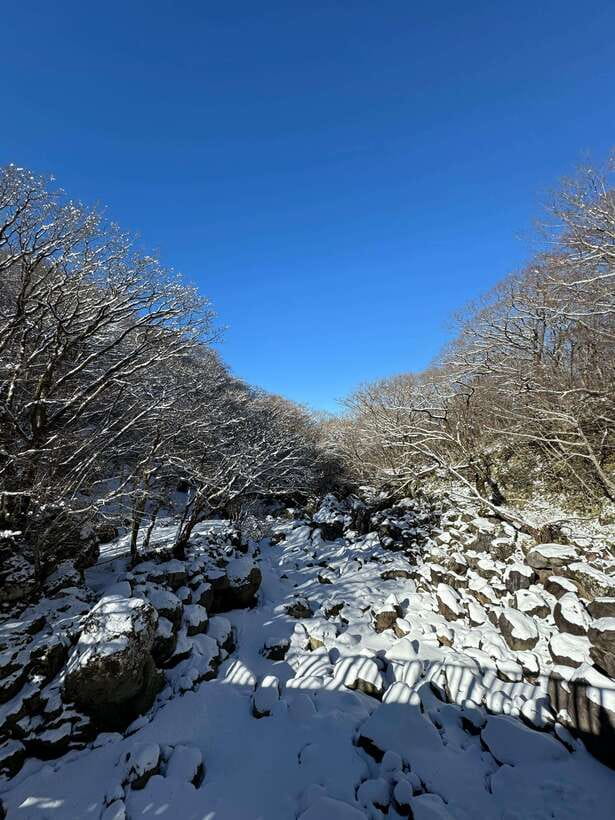 Jeju: Hiking Mt. Hallasan, South Korea's Highest Mountain - Price and value: what $103 includes, and what you still pay for