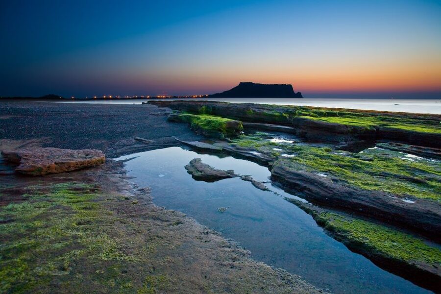 Jeju Island: Customized Private Full-Day Van Tour - Hotel pickup around 9:00 AM, then Woljeongri for coffee and sea air