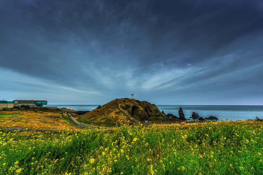 Jeju Island Day Tour for Cruise Ship Passengers - Cheonjiyeon Waterfall and Jusangjeolli Cliffs: Two Kinds of Wow