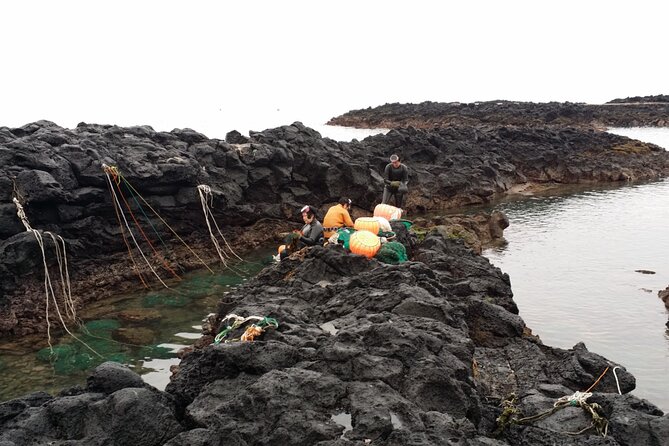 Jeju island Eastern UNESCO site Full Day Guided Tour - Seongsan Ilchulbong UNESCO peak: crater views and breathing room
