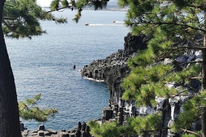 Jeju Island English Private & Flexible Tour any number anywhere - Pickup, getting around, and avoiding time-wasting