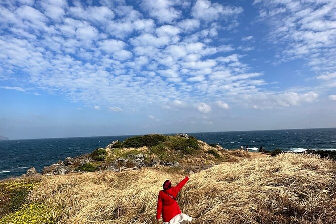 Jeju Island English Private & Flexible Tour any number anywhere - Your choice of course: east, south, or west Jeju